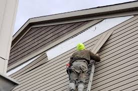 Best Wood Siding Installation  in Woodsi East, DE